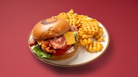 Master fried burger