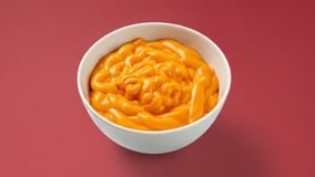 Sauce cheddar